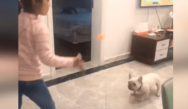 Desliza las imágenes para conocer el amoroso momento entre una niña junto a su adorable mascota. Foto: Captura.