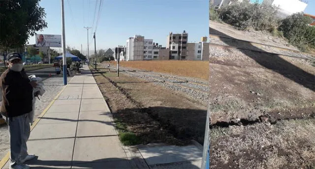 Árboles fueron retirados de la avenida Metropolitana por inescrupulosos sujetos. Foto: Municipalidad de Yanahuara.