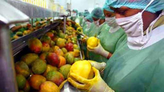 Se implementarán cuatro plantas procesadoras para la exportación de mangos en Piura 