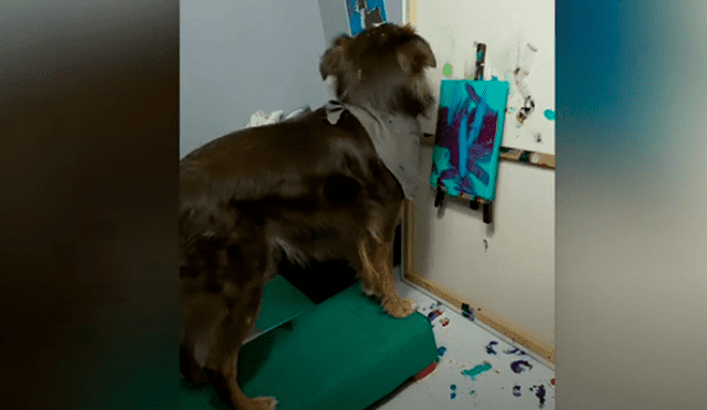 Desliza las imágenes hacia la izquierda para observar las increíbles habilidades de un perro en el arte. Foto: Caters Clips.