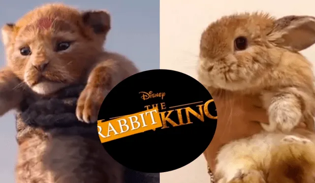 Facebook: joven usa a su conejo para recrear "The Rabbit King" y se vuelve viral [FOTO]