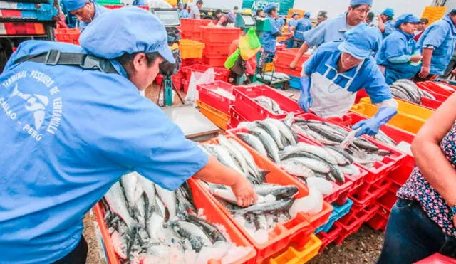 Consumo per cápita de pescado en Perú creció de 10 a 12 kilos 