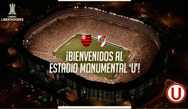 Copa Libertadores 2019: prensa extranjera destaca planta que nació en butaca del estadio Monumental.