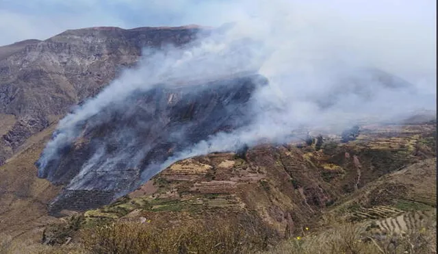 Pobladores solicitaron apoyo para sofocar incendio forestal. Foto: Captura de Facebook/ TV Cotahuasi