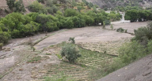 Desborde del río Yura daña cerca de 300 hectáreas de cultivo.