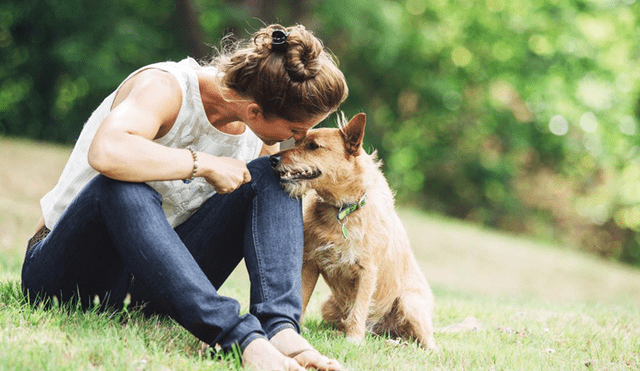 Estudio revela por qué hay personas que salvarían a un perro antes que a un humano