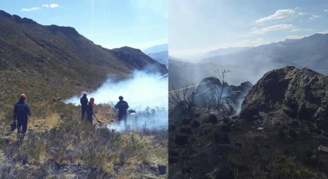 Arequipa: nuevo incendio forestal en Caylloma genera preocupación