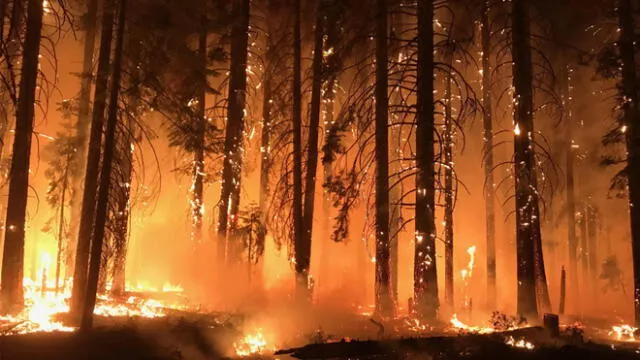 Inofensivo baby shower causó un devastador incendio forestal de dos semanas 