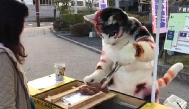 En Facebook es sensación el ‘gato ambulante’ que vende comida | VIDEO