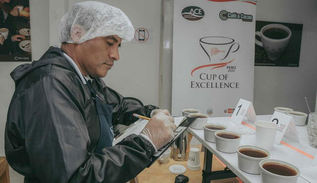 Expertos analizarán los cafés en ocho laboratorios. Foto: Taza de Excelencia Perú