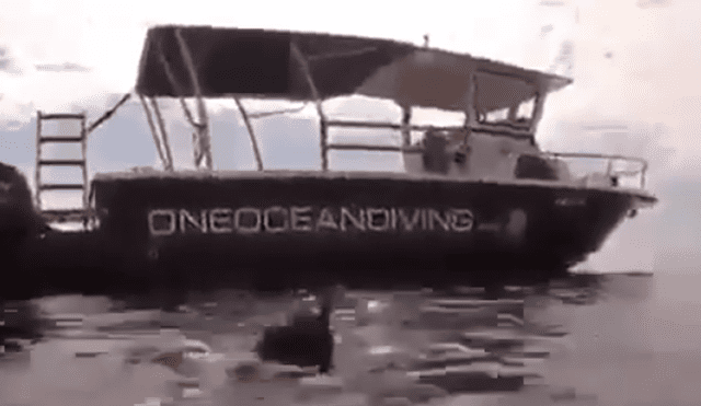 YouTube viral: Hombre se lanza al mar, saca su cámara y aparece gigantesco tiburón [VIDEO]