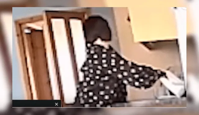 Video es viral en YouTube. La mujer no podía creer el terrible comportamiento de su mejor amiga cada vez que esta visitaba su casa