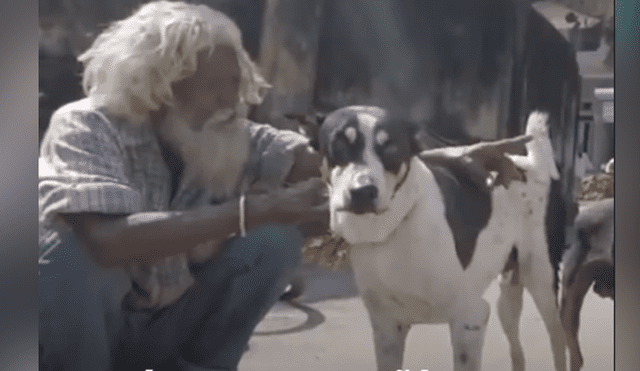 Desliza hacia la izquierda para ver la 'evolución' del perro callejero que se volvió viral en Facebook.