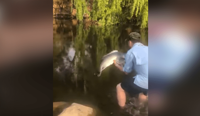 Desliza hacia la izquierda para ver el admirable gesto de un hombre al salvar la vida de un pez. Video de YouTube.
