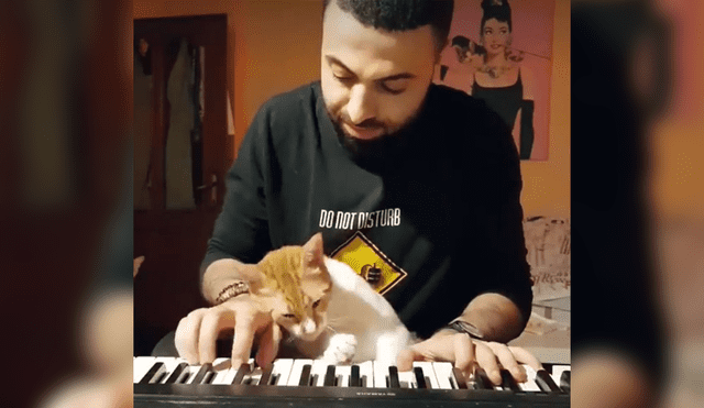 Facebook: gato aprende a tocar piano y enternece a miles con peculiar acto [VIDEO]