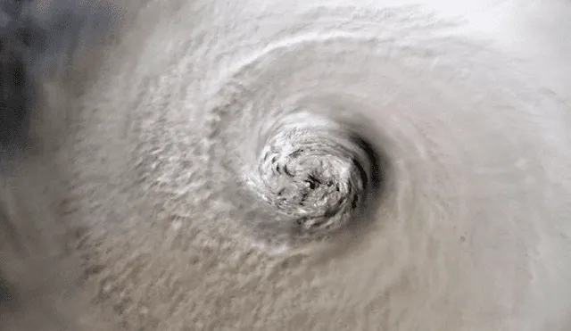 Huracán Dorian: comparan el ojo del ciclón categoría 5 con sus similares Irma, María, Matthew, Michael
