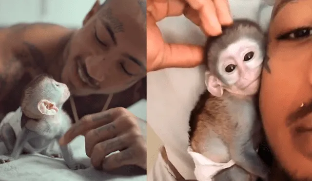 YouTube viral: Joven adopta a un mono y lo cuida como si fuera su bebé [VIDEO]