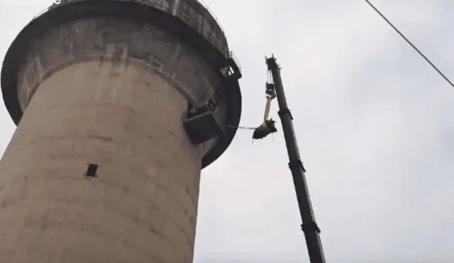 El toro subió solo hasta lo alto de la torre obligando a que sus rescatistas usen una grúa para poder bajarlo. Foto: captura