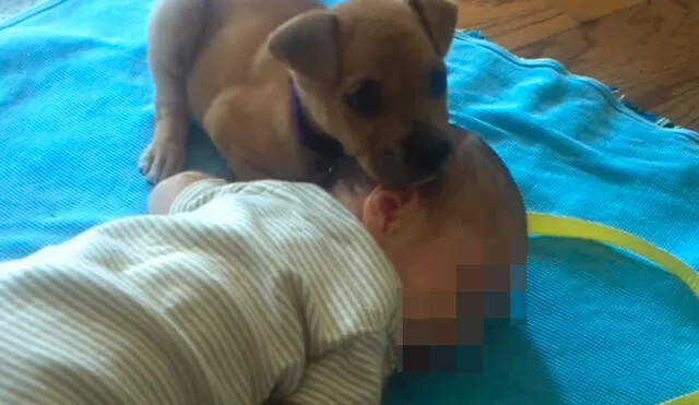 Desliza las imágenes para apreciar el amoroso momento entre un bebé recién nacido y un cachorro. Foto: Captura de Facebook