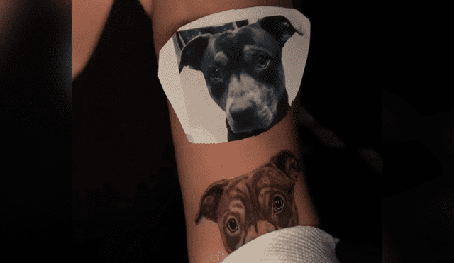 Desliza hacia la izquierda para ver el tatuaje que se hizo un joven con el rostro de su perro que se volvió viral en YouTube.