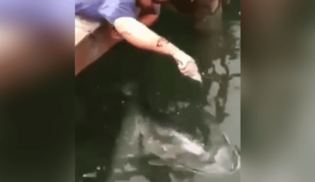 Un hombre fue víctima del ataque de una feroz criatura marina.