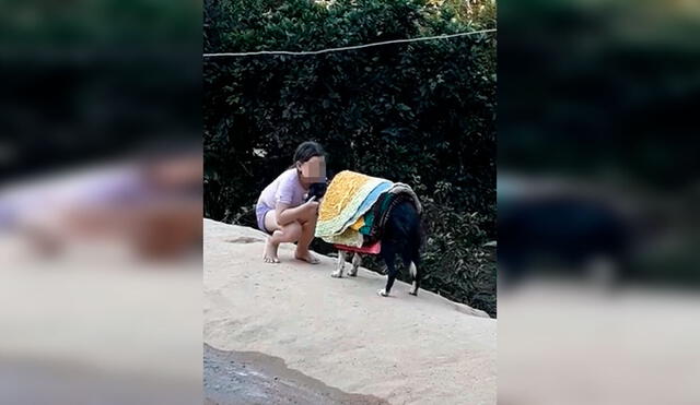 Desliza las imágenes para observar la curiosa escena protagonizada por un perro junto a la hija de su dueña. Foto: Captura de Facebook