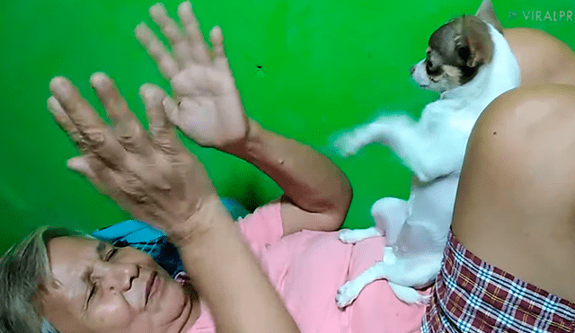 YouTube viral: su madre no quería perros en casa y ella la descubre en tierna escena