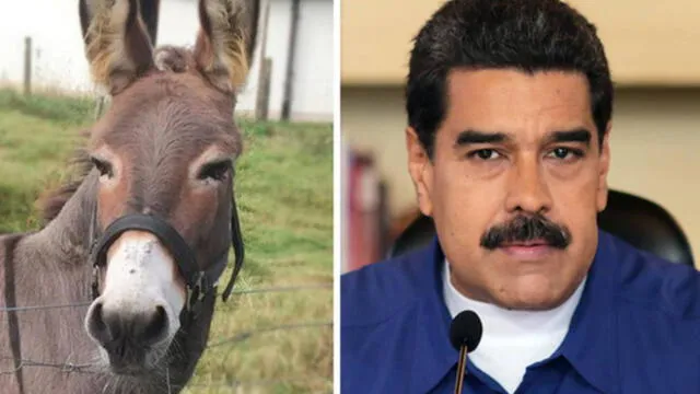 YouTube: Nicolás Maduro enfrenta a periodista que preguntó sobre video que lo compara con un burro [VIDEO]