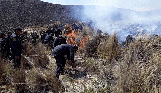 Crearán primera brigada de bomberos forestales en Arequipa