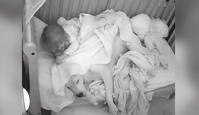YouTube viral: coloca cámara de seguridad y descubierto tierno gesto que tuvo su bebé con su perro