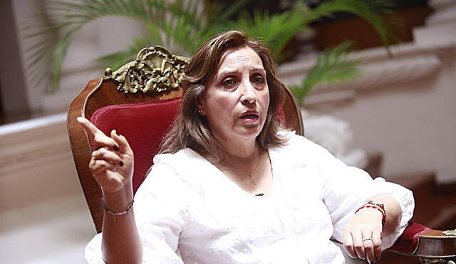 Dina Boluarte asumió la presidencia de la República el 7 de diciembre del 2022 tras el fallido intento de golpe de Pedro Castillo. Foto: Antonio Melgarejo / La República