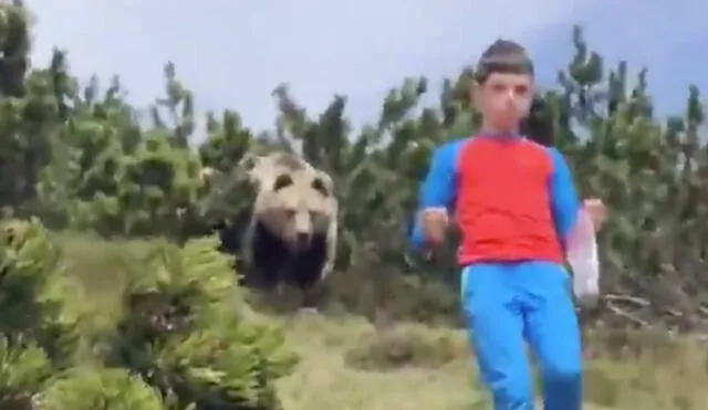 El niño siguió las indicaciones de su familia para no ser atacado por un oso. Foto: RT