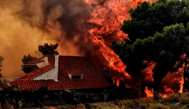 Grecia: escalofriantes imágenes de los incendios que dejan decenas de muertos [VIDEO]