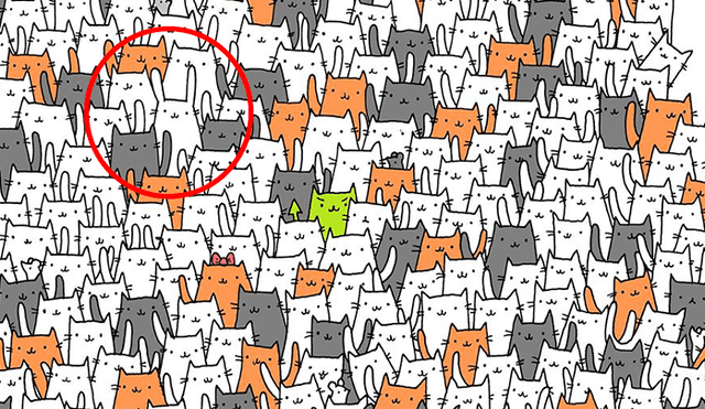 Facebook viral: halla al conejo escondido entre varios gatos, el reto visual que casi nadie puede superar