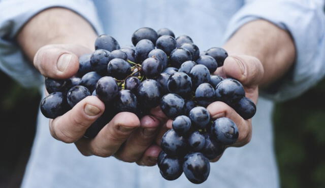 Perú se convierte en quinto exportador mundial de uva