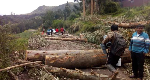 Con bloqueos de vías acatan paro en Apurímac y Cusco | VIDEO