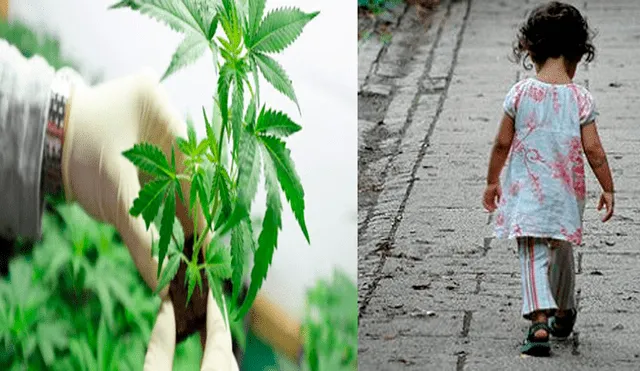 Detienen a padres que intoxicaron a su bebé con marihuana [FOTOS]