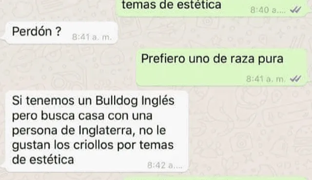 WhatsApp: se comunica con albergue para adoptar un perro de 'raza' y le dicen esto [FOTOS]