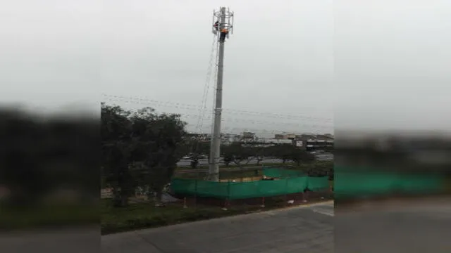 Instalación de antena de telefonía deteriora área verde 