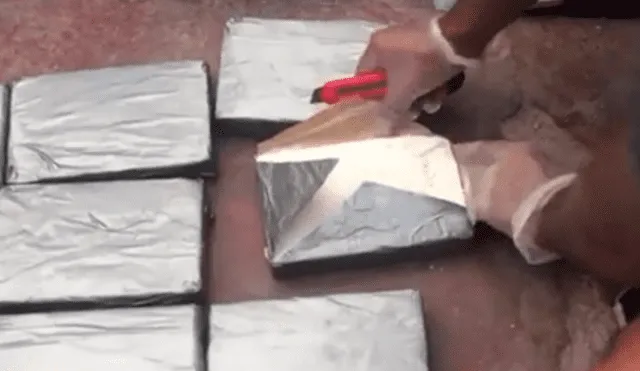 Policía frustra el envío de 40 kilos de cocaína a Rusia [VIDEO]