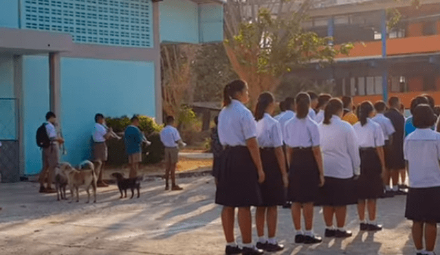 Vía Facebook. Perros callejeros protagonizaron una insólita escena durante la formación escolar de una institución educativa