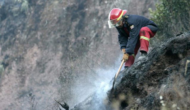 Animales silvestres que huyeron de incendio fueron rescatados en Cusco