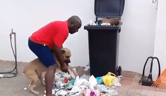 Facebook: perro bota tacho de basura de su casa y su dueño le da un ejemplar castigo [VIDEO]