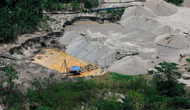 Desde hace tres años esta tragedia ambiental de viene reduciendo con la ayuda del Centro de Innovación Científica Amazónica (CINCIA) que promueve la restauración de suelos degradados por la minería ilegal. Foto: Difusión