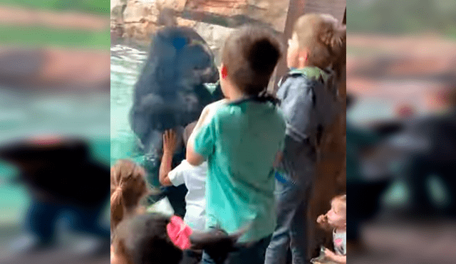 Facebook viral: niños juegan frente de enorme oso, sin imaginar que depredador haría lo impensado [VIDEO] 
