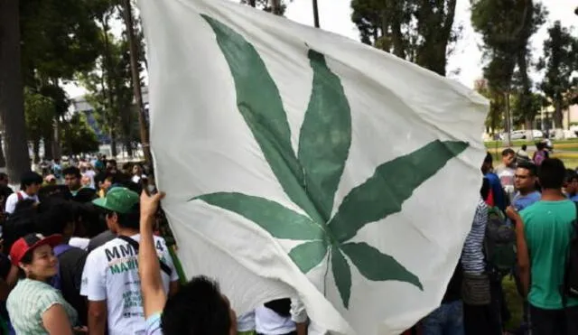 Tailandia es el primer país de Asia que legaliza el consumo de marihuana para fines medicinales 