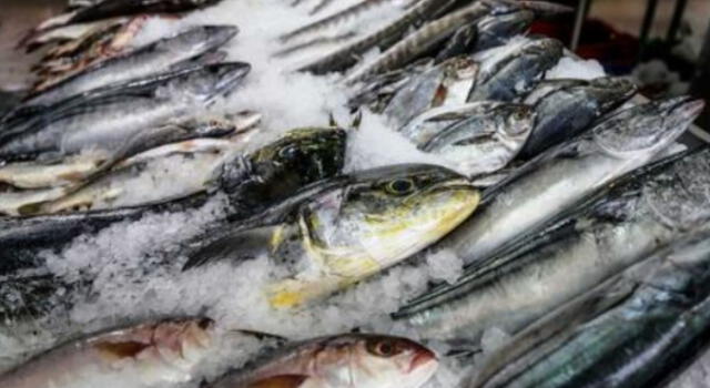 Ofertarán 19 toneladas de pescado a precios módicos en Cusco 