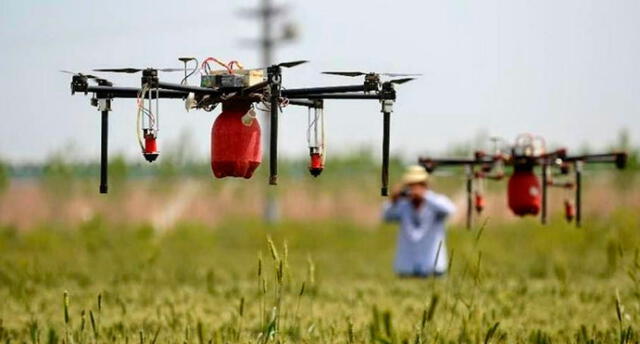 PUCP ofrece media beca para aprender el uso de drones y las nuevas tecnologías en la agricultura