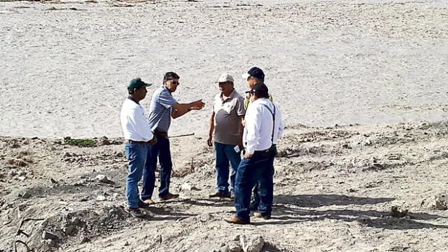 Arequipa: Reportan pérdida de cien hectáreas de arroz en valle de Tambo
