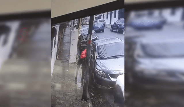 Facebook viral: Hombre le da su merecido a ladrón que quería robar su lujoso carro [VIDEO]